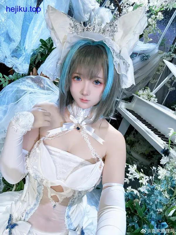 喜欢爱理吗图库猫咪主题治愈系照片